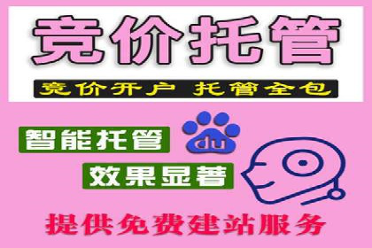 SEM运营策略：从零到一的流量增长案例